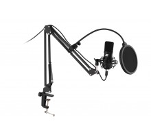 Мікрофон для ПК з пантографом 2Е MPC011 Streaming KIT USB