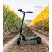 Електросамокат Kaabo Mantis 10 PLUS