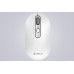 Миша бездротова A4Tech Fstyler FG20 (White),  USB, колір білий