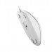 Миша A4Tech N-530S (White) дротова безшумна USB, синє підсвічування, 1200 dpi, колір білий