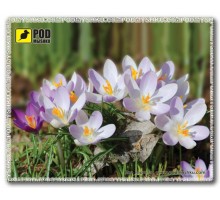 Килимок для мишки Podmyshku Весна-Шафран, пластик.