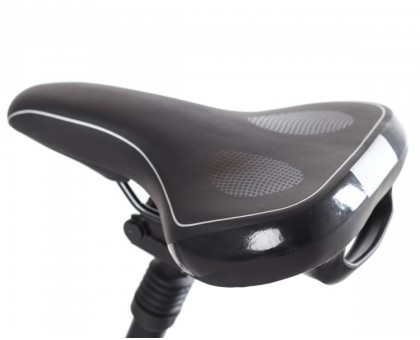 Електричний велосипед Maxxter CITY LITE (graphite) Електричний велосипед Maxxter CITY LITE (graphite)