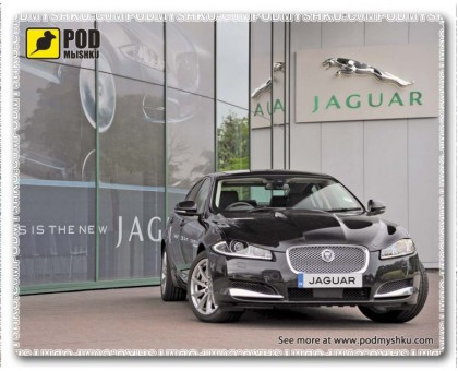 Килимок для мишки Podmyshku Jaguar, пластик. Килимок для мишки Podmyshku Jaguar, пластик.