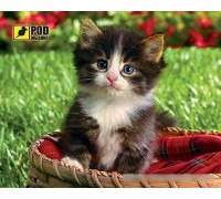 Килимок для мишки Podmyshku Кошеня у кошику, пластик.