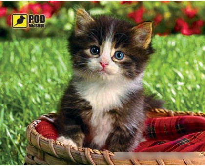 Килимок для мишки Podmyshku Кошеня у кошику, пластик. Килимок для мишки Podmyshku Кошеня у кошику, пластик.