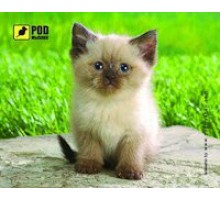 Килимок для мишки Podmyshku Сіамський котик, пластик.