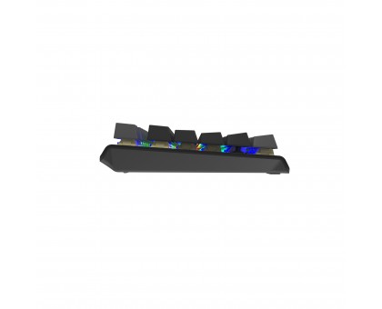 Клавіатура A4Tech FS100 (Stone Black), механічна ігрова, неонове підсвічування, USB, FS Switches, чорна Клавіатура A4Tech FS100 (Stone Black), механічна ігрова, неонове підсвічування, USB, FS Switches, чорна