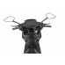 Електроскутер Maxxter NEON (Black)